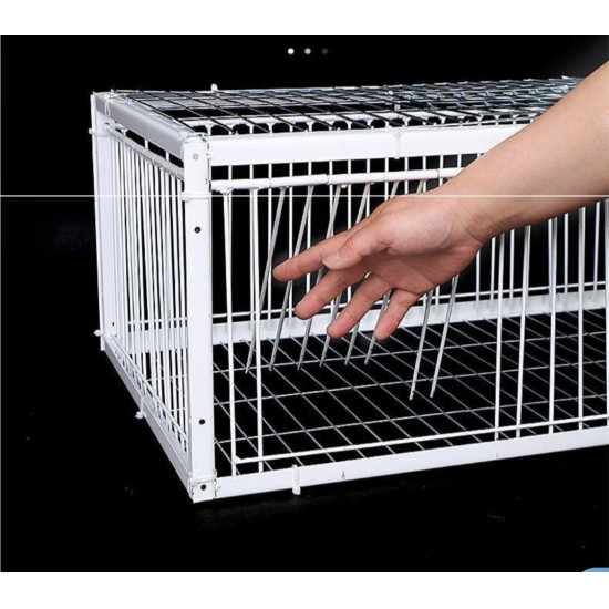 ΚΛΟΥΒΙ ΠΟΥΛΙΩΝ ΜΕΤΑΛΛΙΚΟ 906026 ΚΛΟΥΒΙ ΠΟΥΛΙΩΝ ΜΕΤΑΛΛΙΚΟ 906026